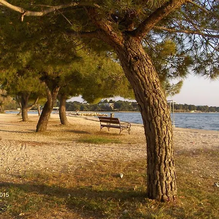 Apartament Tome Diklo